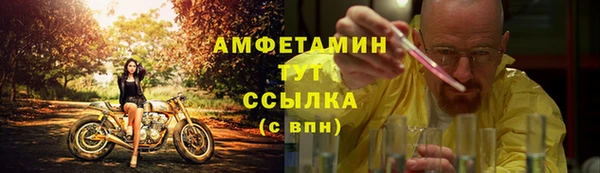 сатива Аркадак
