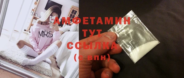 сатива Аркадак