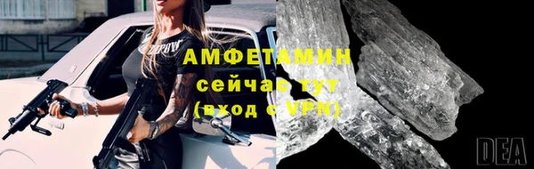 сатива Аркадак