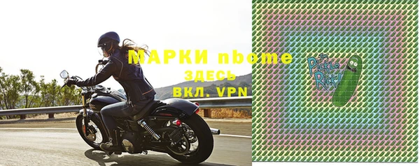 сатива Аркадак