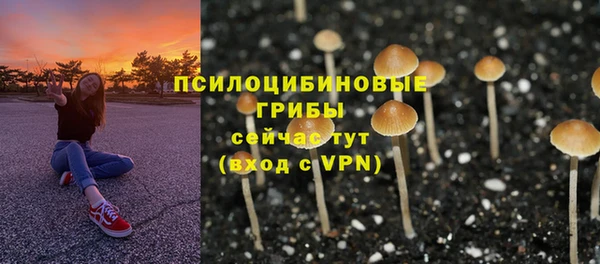 сатива Аркадак