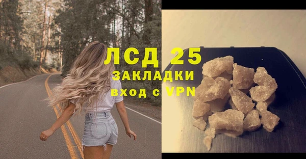 ГАЛЛЮЦИНОГЕННЫЕ ГРИБЫ Армянск