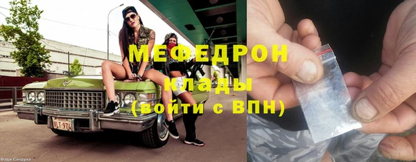 сатива Аркадак