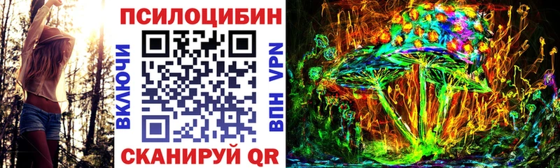 Галлюциногенные грибы Magic Shrooms  закладки  Ртищево 