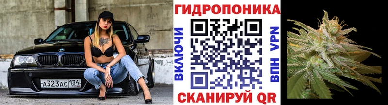 Шишки марихуана AK-47  OMG как зайти  Ртищево  купить  